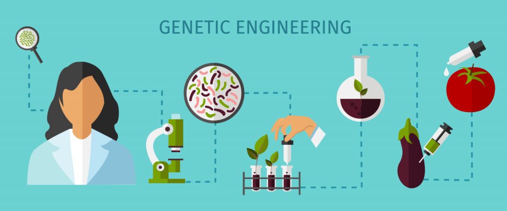 Genetik Mühendisliği Ne İş Yapar? 2 Genetik Mühendisliği Ne İş Yapar?
