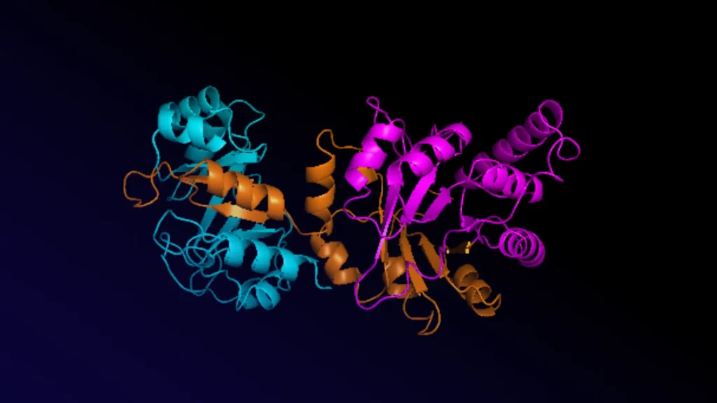 Biyoinformatikte En Çok Kullanılan Araçlar ve Yazılımlar 2 Pymol ve Chimera